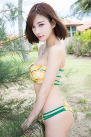 新黑暗圣经